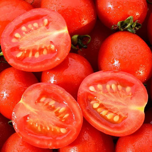 广西百色圣女果新鲜蔬菜小番茄樱桃西红柿当季整箱批发非千禧水果